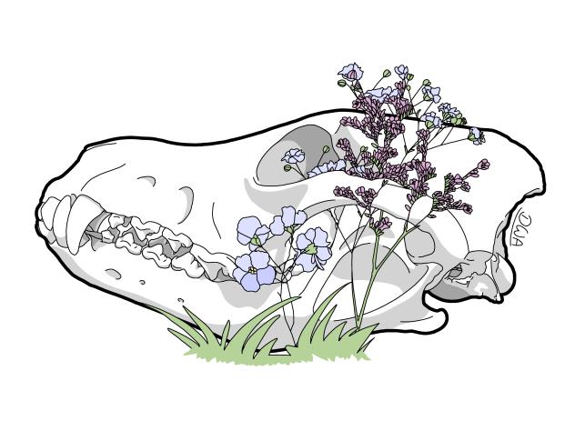 Wolf Skull With Flowers