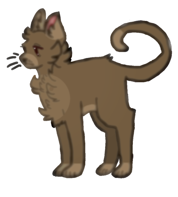 Meow meow meow meow meowwwwww~
