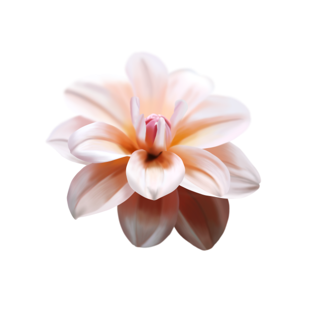 flower.