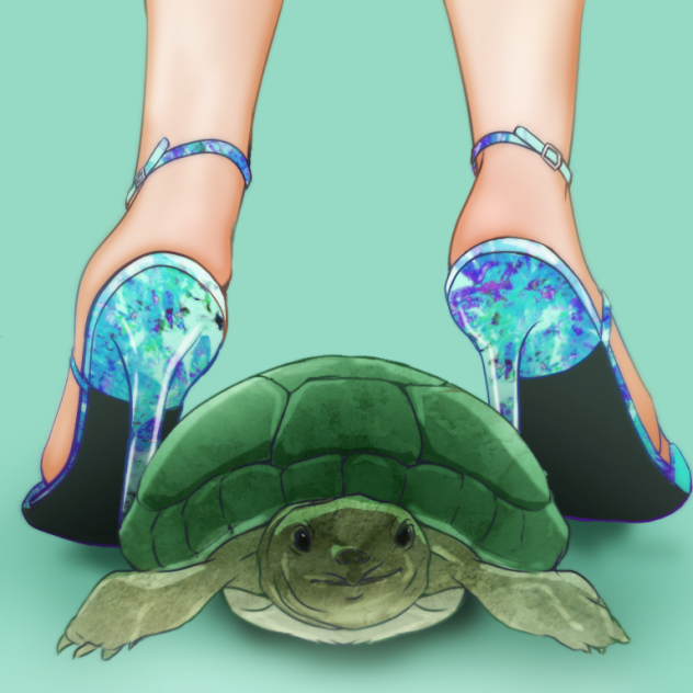 Legs and tortoise