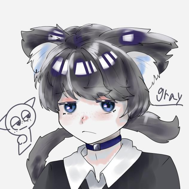 スプランキー　gray