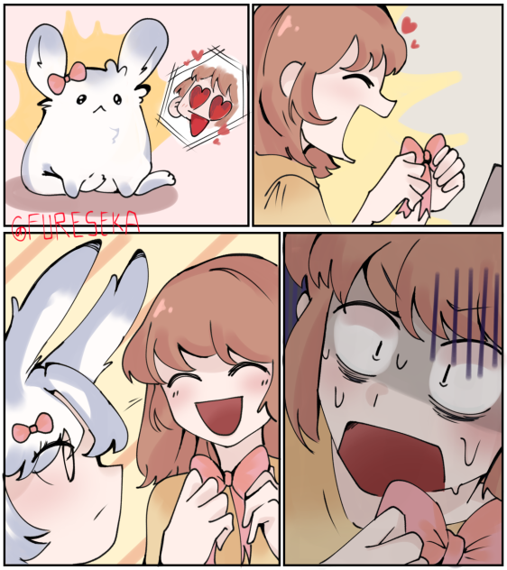 Bunny