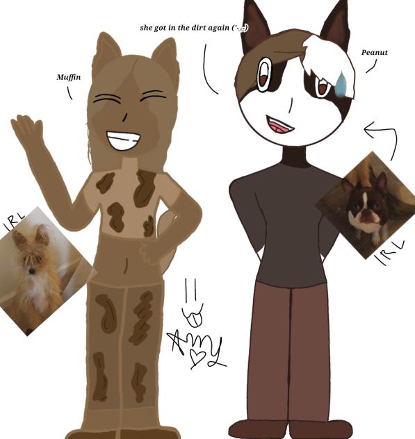 MY DOGGIES!