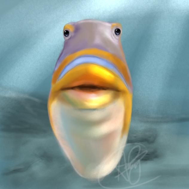 fish.