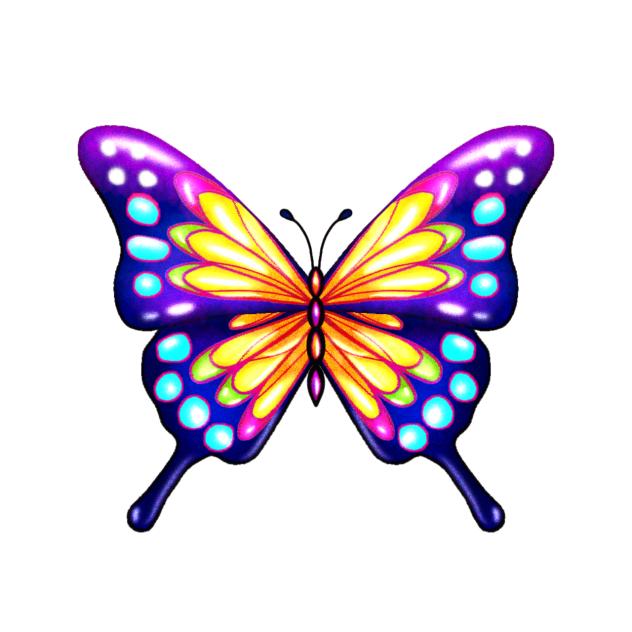 Y2k butterfly