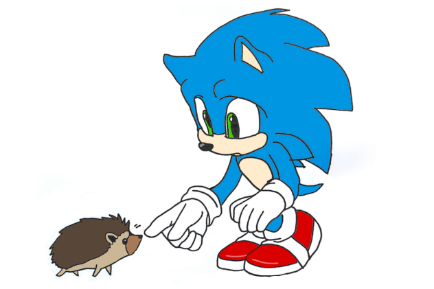 Sonic meets a hedgehog