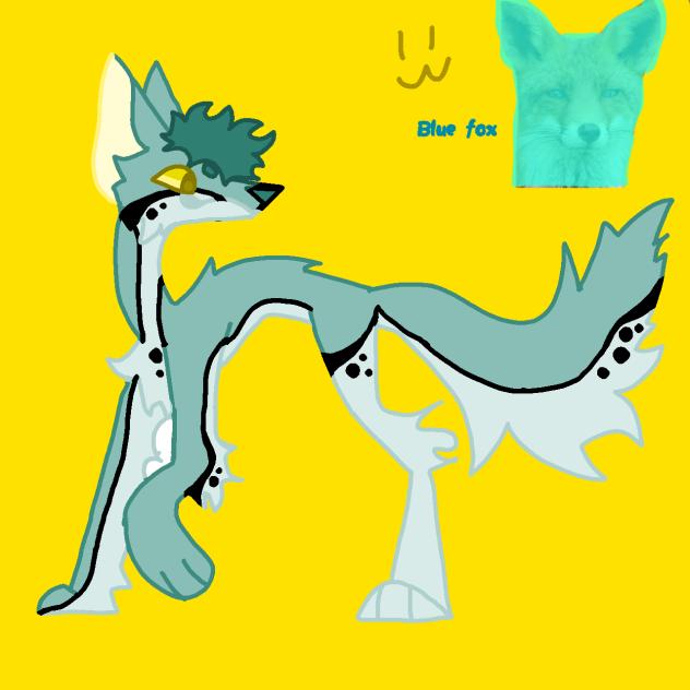 Blue fox