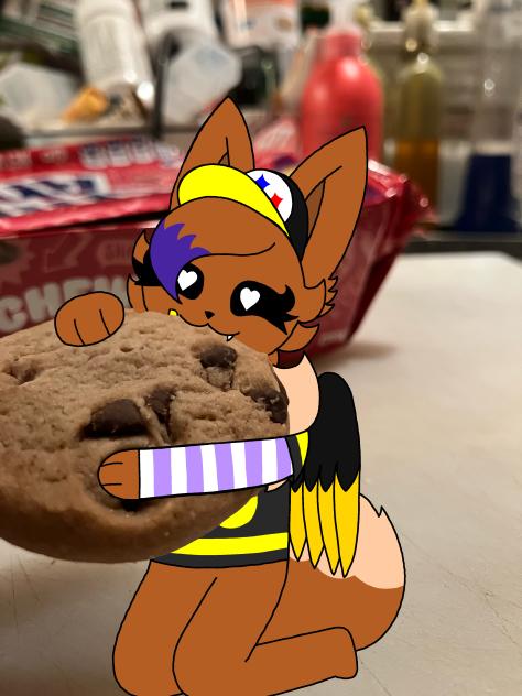 COOKIES!!!!!