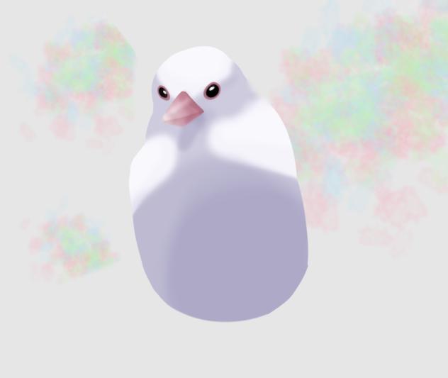 白文鳥