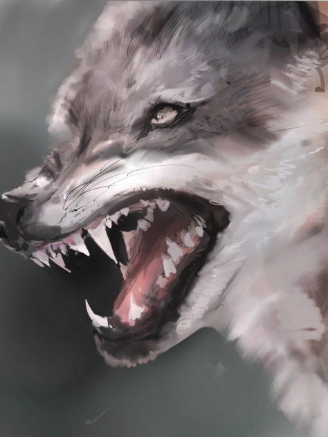 Bark