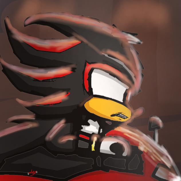 Shadow the hedgehog