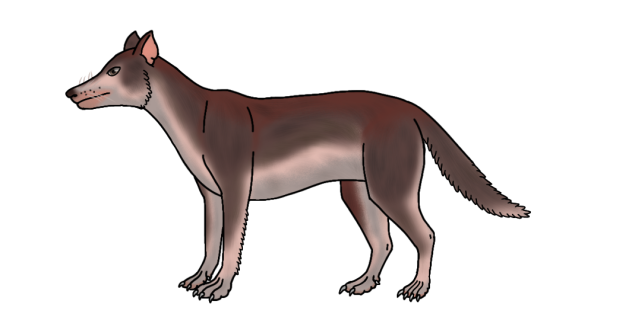 Rouge Nyemanguelio render