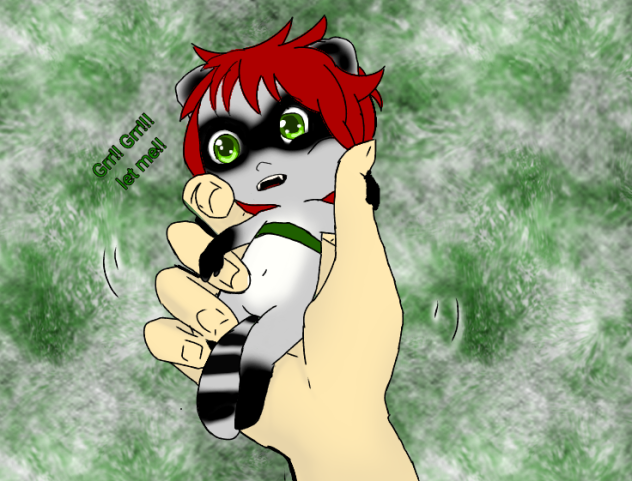 Little Sad Raccon little Raccon - ibisPaint