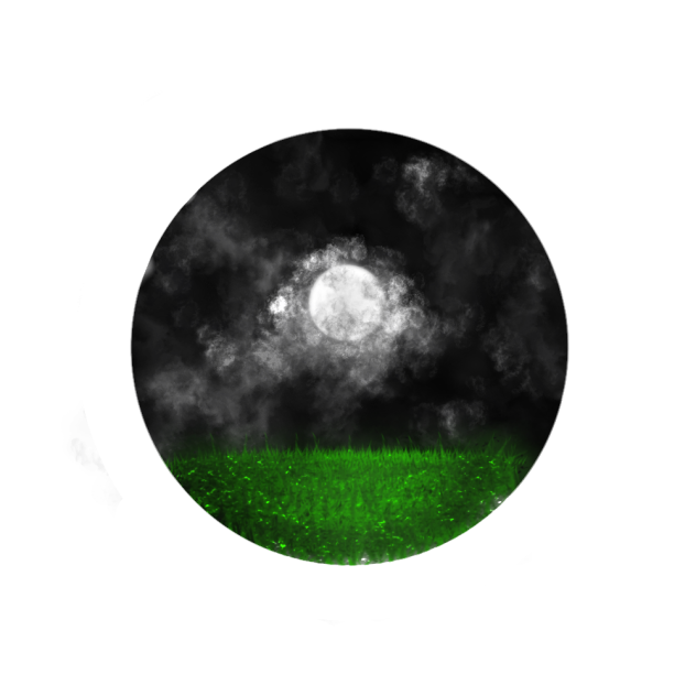 one night moon - ibisPaint