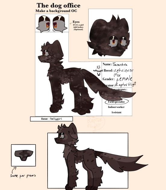 Dog office CS submission