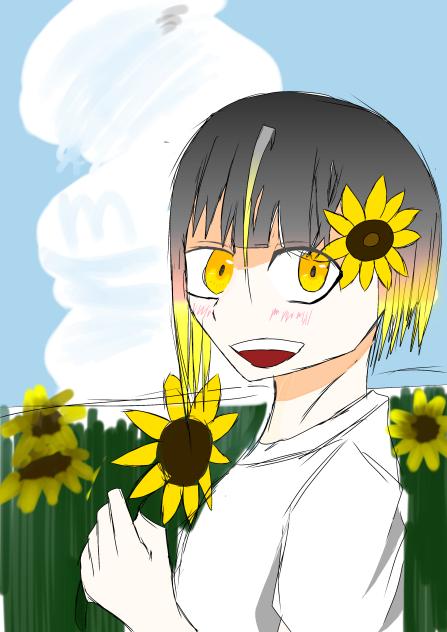 ひまわり