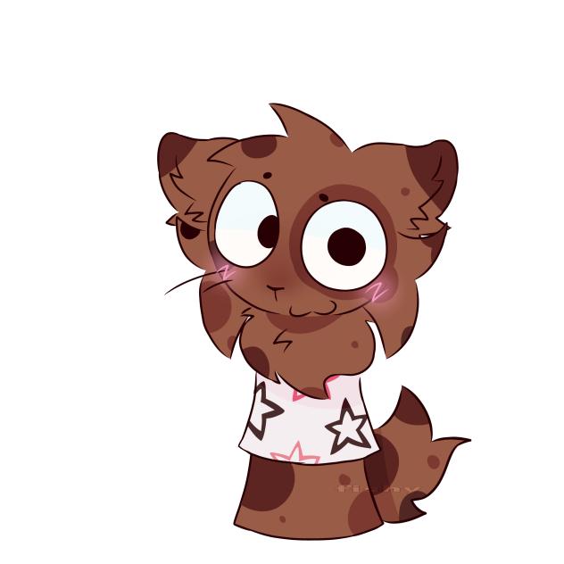 Choco!!!