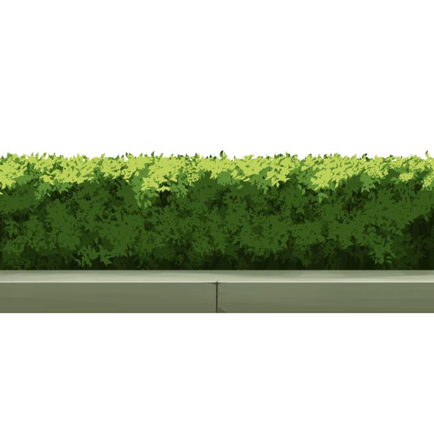 Hedge B