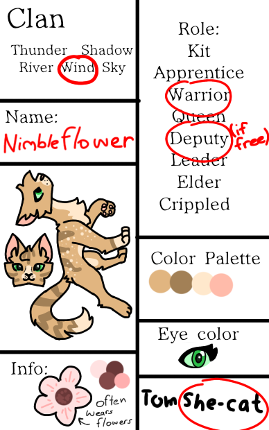 Warriors Interactive CS