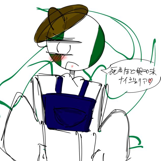 なーいじぇりあちゃん🇳🇬