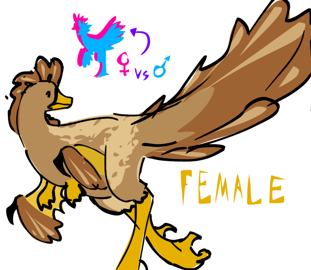 Female version