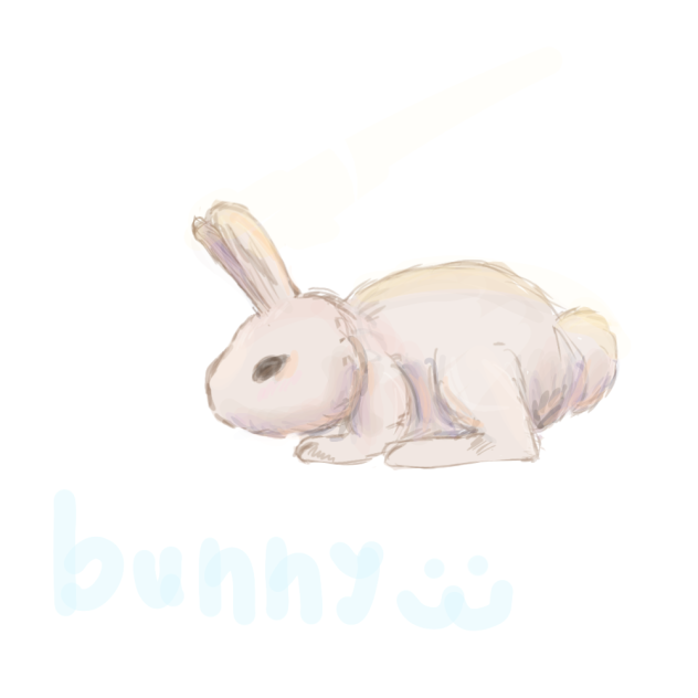 bunny
