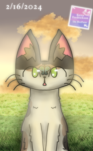 ✨🦋 Butterflys! 🦋✨