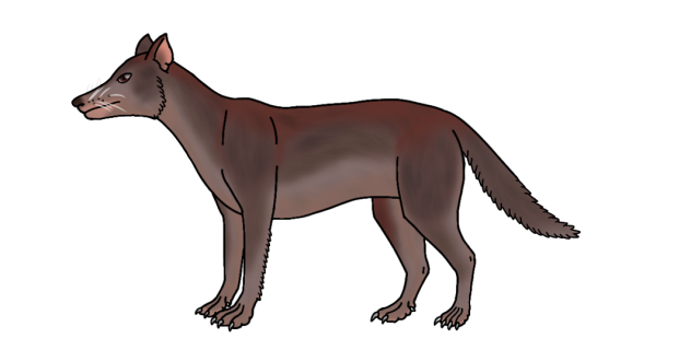 Mahogany Nyemanguelio render
