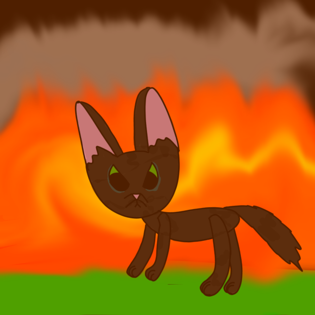 Fire scene Hollyleaf