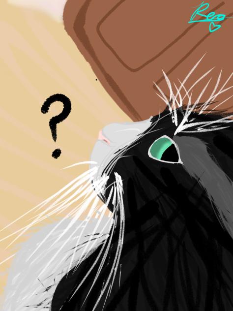 Side eye