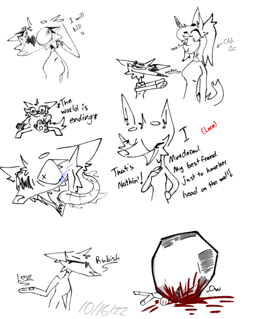 Cookie Being Chaotic