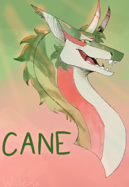 Cane