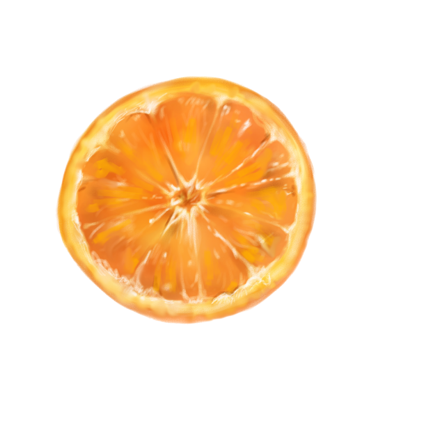 オレンジ輪切りイラスト