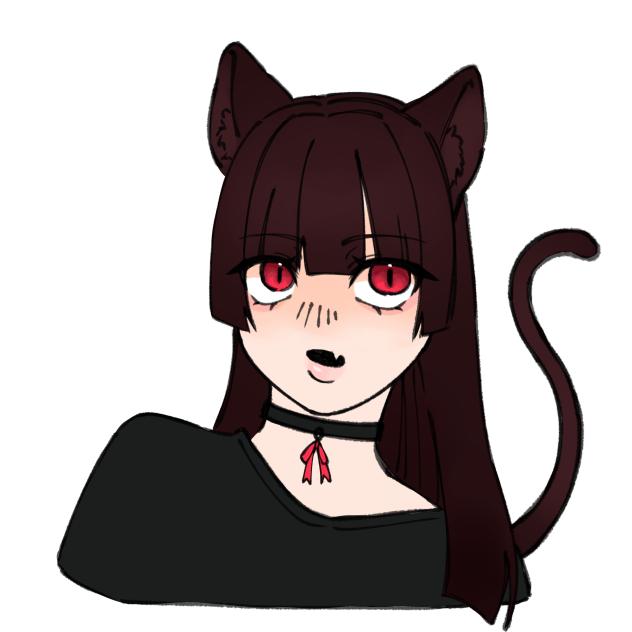 黒猫