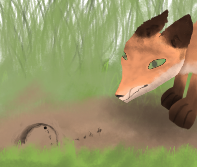 'Anthill'