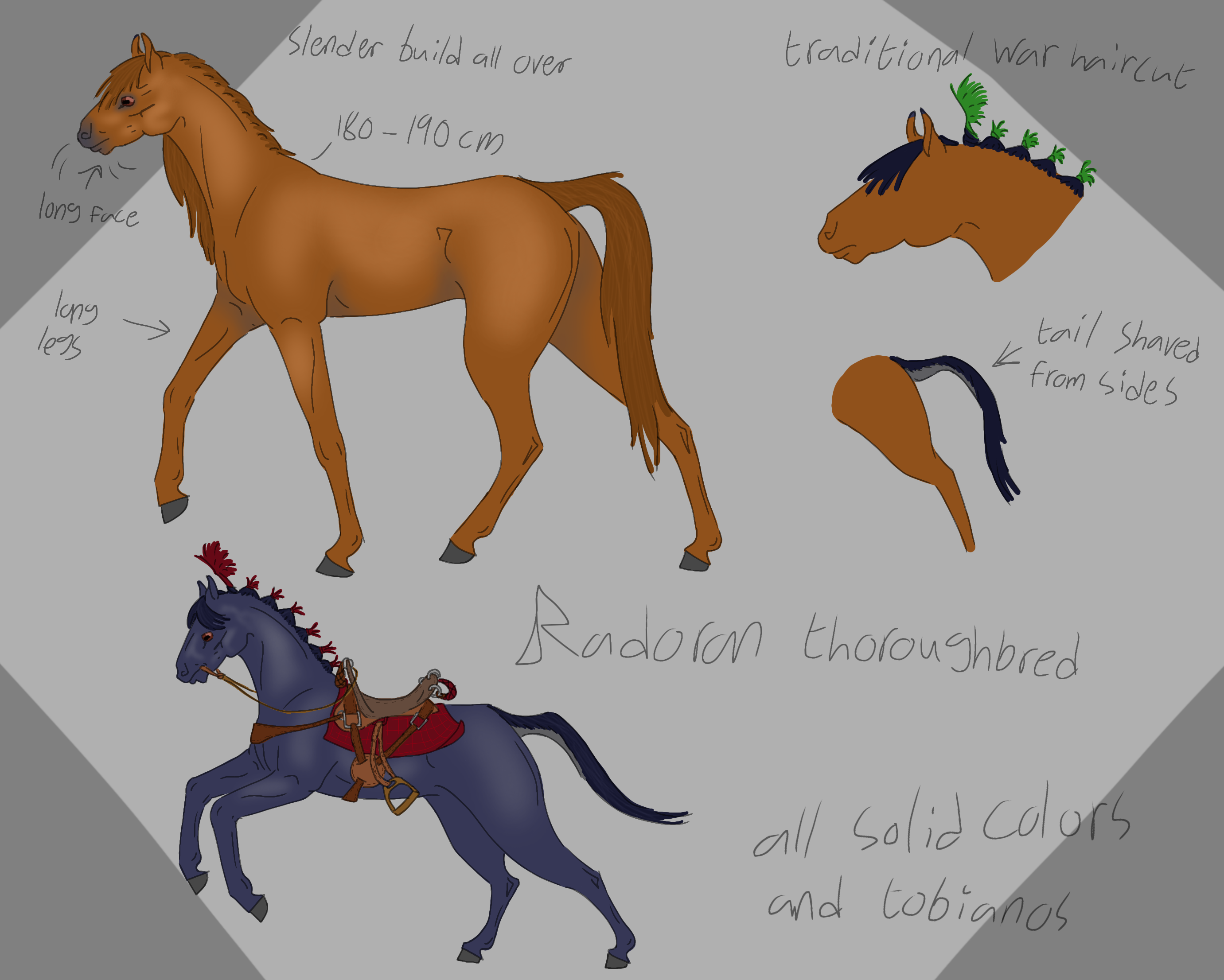 horse breed for my oc world 2 - ibisPaint