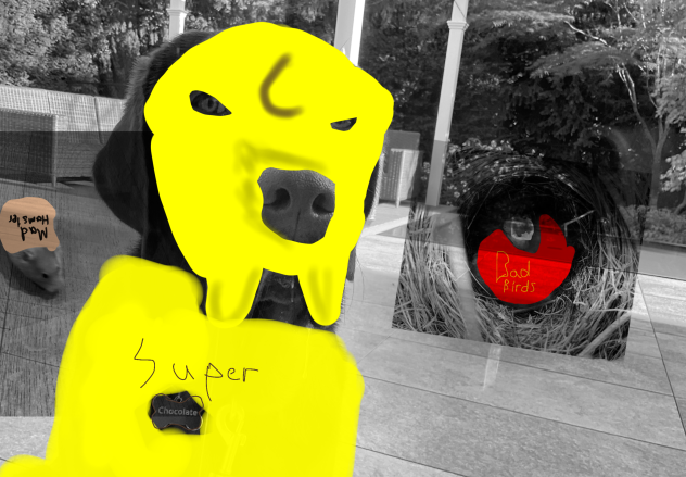 My first time! So excited to share it!