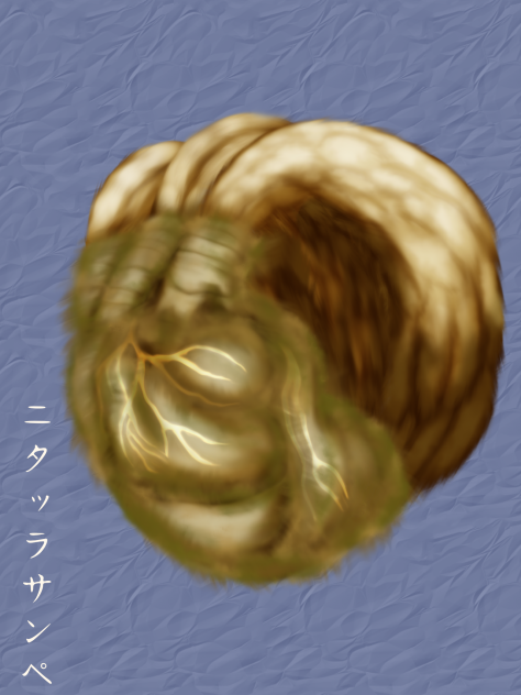 ニタッラサンペ