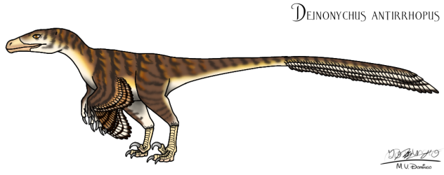 Deinonychus antirrhopus