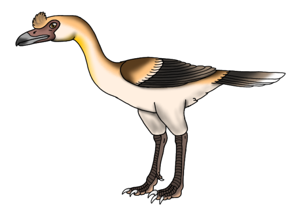 Bathornis veredus render