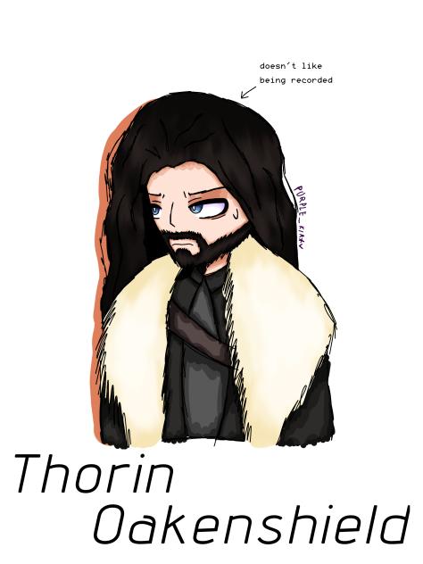 Thorin Oakenshield fanart ✨️