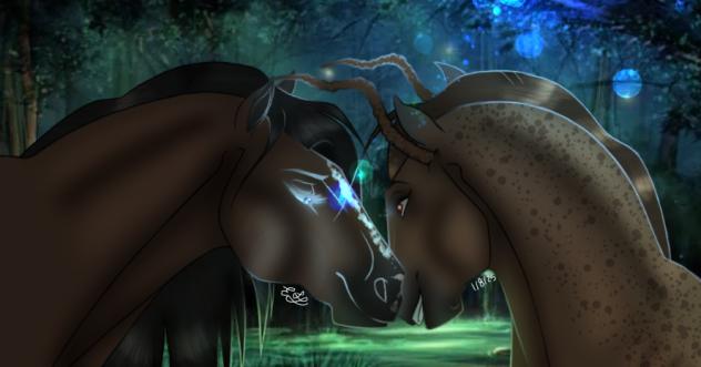 ~ Salem x Echo ~
