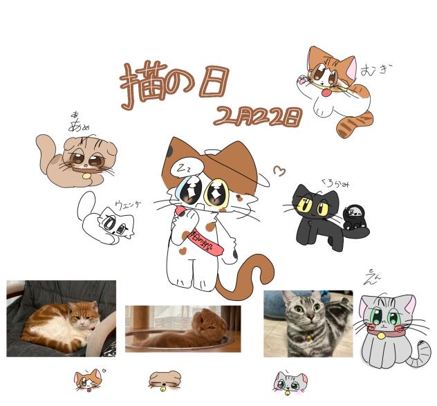 今日は猫の日！2月22日