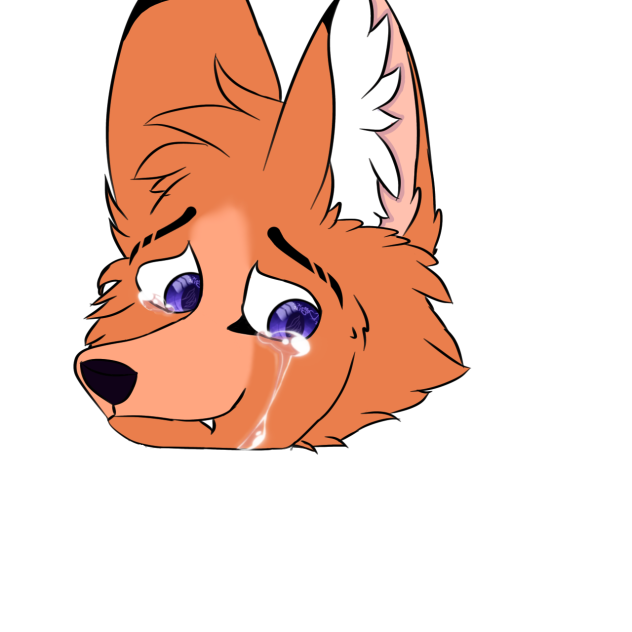 Fox - ibisPaint