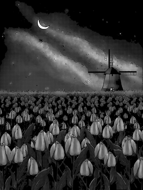 Tulip field (starry night)2