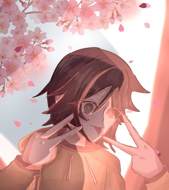 Cherry blossom