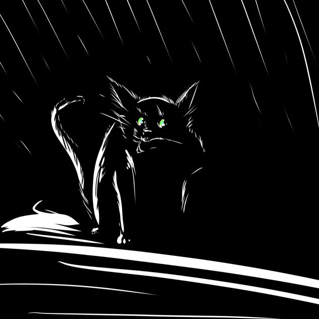 Kitty in the dark