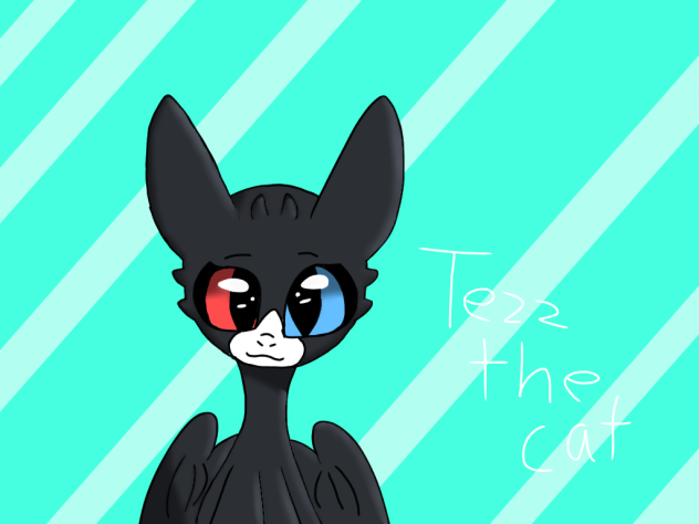 ❤️gift for Tezz the cat💙