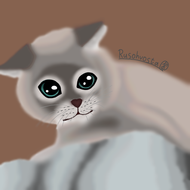 Без названия