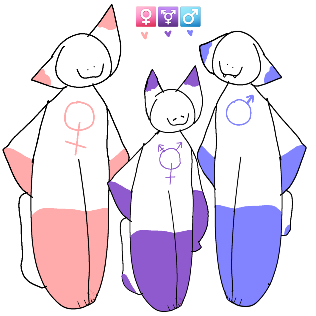 gender cats